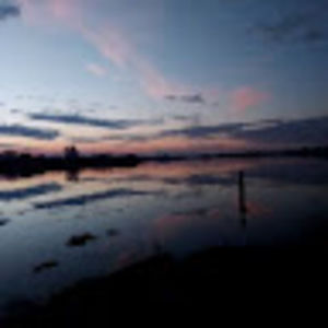 Meet your Posher, Savannah